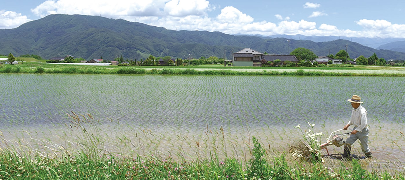 上伊那地域づくり | 上伊那広域連合